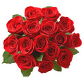 Flowers to Mumbai : Send Flowers to Mumbai