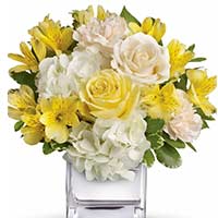 Flowers to Mumbai : Send Flowers to Mumbai
