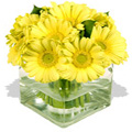 Gifts to Mumbai : New Year Gifts to Mumbai