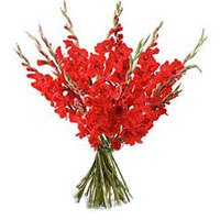 Flowers to Mumbai : Valentine's day Gifts to Mumbai