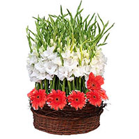 Flowers to Mumbai : Valentine's day Gifts to Mumbai