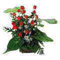Flowers to Mumbai : Father's Day Flowers to Mumbai