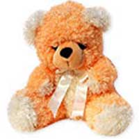 Gifts to Mumbai : Send Gifts to Mumbai