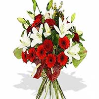 Anthurium Flowers to Mumbai : Send Flowers to Mumbai