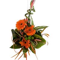 Anthurium Flowers to Mumbai : Send Flowers to Mumbai