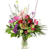 Anthurium Flowers to Mumbai : Send Flowers to Mumbai