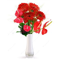 Flowers to Mumbai : Send Flowers to Mumbai