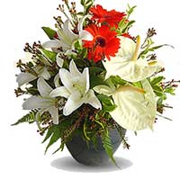Anthurium Flowers to Mumbai : Send Flowers to Mumbai
