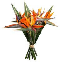 Send Flowers to Mumbai