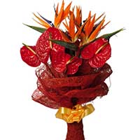 Valentines Day Flowers to Mumbai