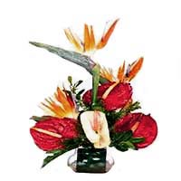 Send Flowers to Mumbai