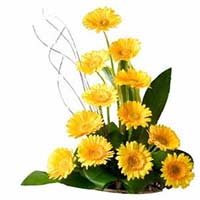 Send Gifts to Mumbai : Get Well Soon Flowers to Mumbai