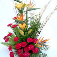 Flowers to Mumbai