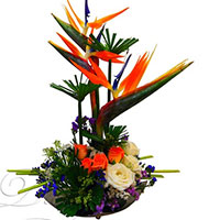 Flowers to Mumbai : Valentine's day Gifts to Mumbai