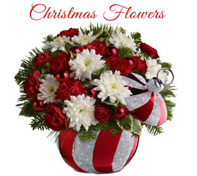 Send Christmas Flowers to Mumbai