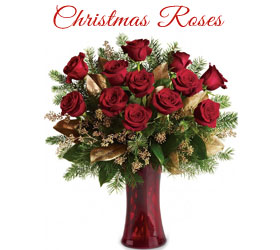Online Christmas Flowers to Navi Mumbai