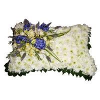 Flowers to Mumbai : Send Flowers to Mumbai