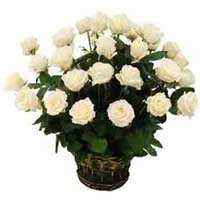 Flowers to Mumbai : Send Flowers to Mumbai