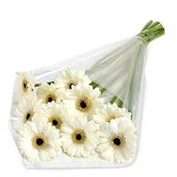 Flowers to Mumbai : Send Flowers to Mumbai