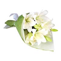 Flowers to Mumbai : Send Flowers to Mumbai