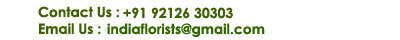 Contact Information