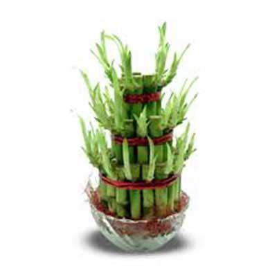 Send Gifts to Mumbai, Gifts to Mumbai