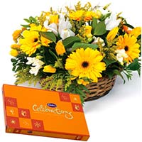 Gifts to Mumbai : Diwali Gifts to Mumbai