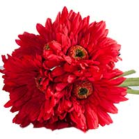 Flowers to Mumbai : Anniversary Gifts to Mumbai