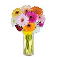 Flowers to Mumbai : Send Flowers to Mumbai