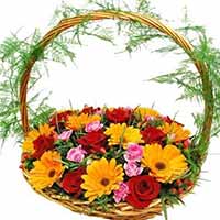 Flowers to Mumbai : Anniversary Gifts to Mumbai