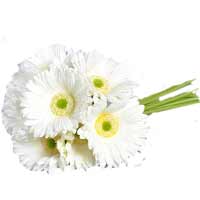 Flowers to Mumbai : Send Flowers to Mumbai