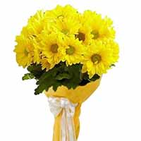 Flowers to Mumbai : Send Flowers to Mumbai