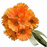 Flowers to Mumbai : Wedding Gifts to Mumbai