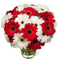 Flowers to Mumbai : Anniversary Gifts to Mumbai
