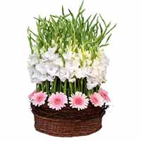 Flowers to Mumbai : Send Flowers to Mumbai