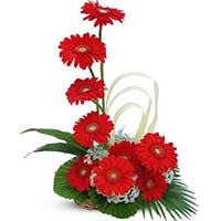 Flowers to Mumbai : Send Flowers to Mumbai