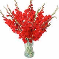 Glad Flowers to Delhi : Flowers to Delhi