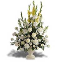 Glad Flowers to Delhi : Flowers to Delhi