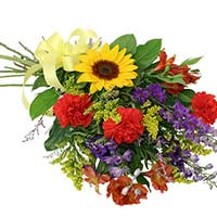 Send Flowers to New Mumbai : Flowers to Mumbai