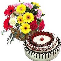 Gifts to Mumbai : Send Gifts to Mumbai