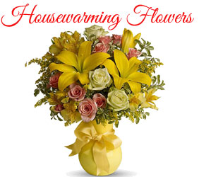 Send Housewarming Flowers to Mumbai