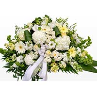 Flowers to Mumbai : Flowers to Meerut