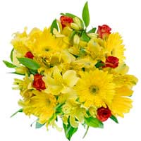 Send Flowers to Mumbai : Flowers to Mumbai