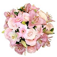Send Flower Bouquet to Mumbai : Send Flowers to Mumbai : Flowers to Mumbai