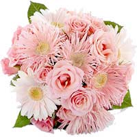 Send Flowers to Mumbai : Flowers to Vashi