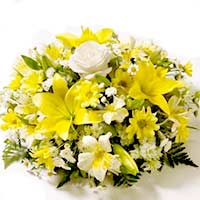 Send Flowers to Mumbai : Flowers to Nashik