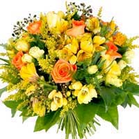 Send Flowers to Mumbai : Flowers to Nashik