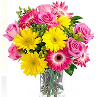 Send Flowers to Meerut : Flowers to Mumbai