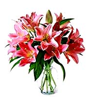 Flowers to Mumbai : Send Flowers to Mumbaii
