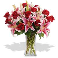 Flowers to Mumbai : Anniversary Gifts to Mumbai